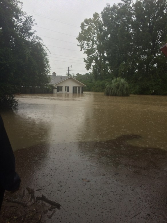 2015-10-04 12.24.29 HDR