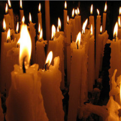 2314647877_e68c2482ef_z-e1448532454900-55353_250x250