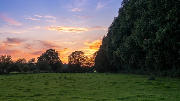 14763296399_4dac6c630e_z